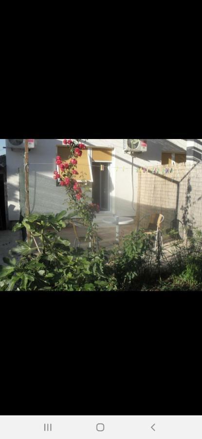 Basil Apartments And Rooms Betina (Sibenik-Knin) Exterior foto